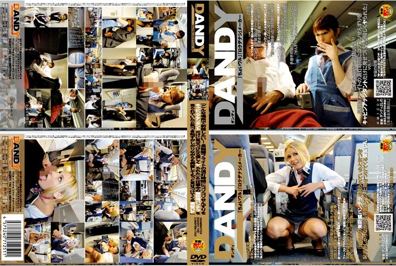 DANDY-150 「こんな場所で射精したい！長距離フライトの消灯時間にコソコソせんずりをキャビンアテンダントだけに見せつけたら優しくヤられた」VOL.1 ＆ 「仕事中の無防備パンチラを見ら