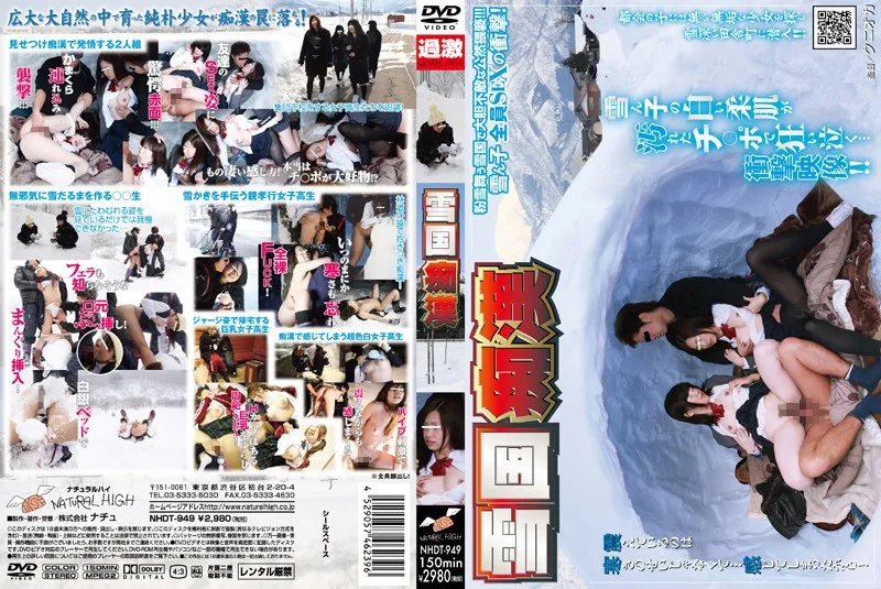 NHDT-949 雪国痴漢